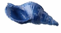 10" Dark Blue Polyresin Faux Ceramic Whelk Shell Figurine